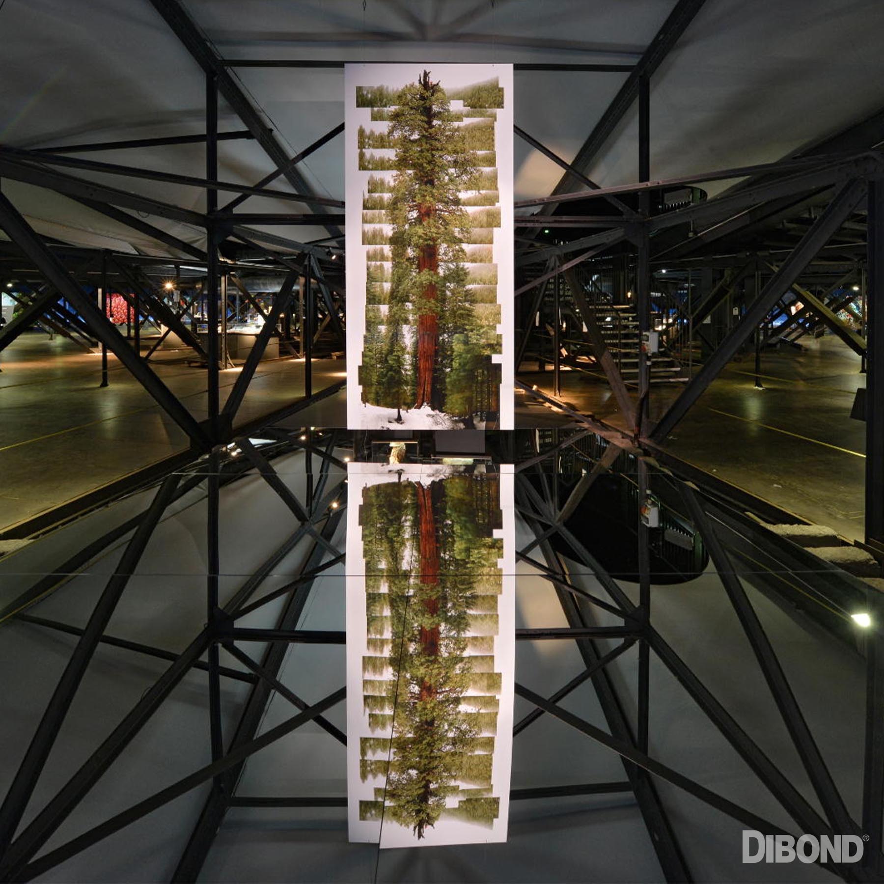 DIBOND large format architectural panel