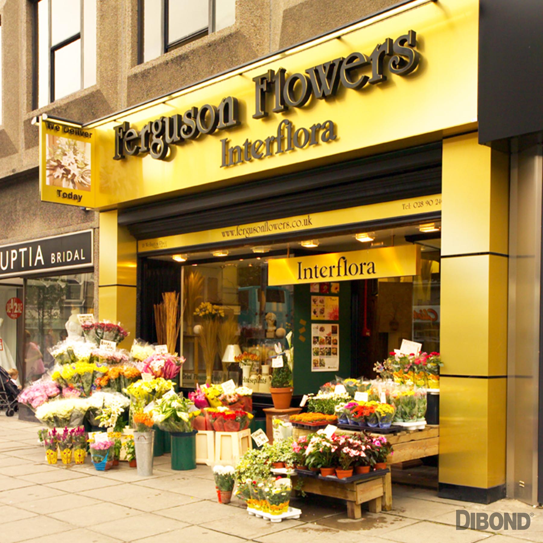 DIBOND shop front signage and facade panels