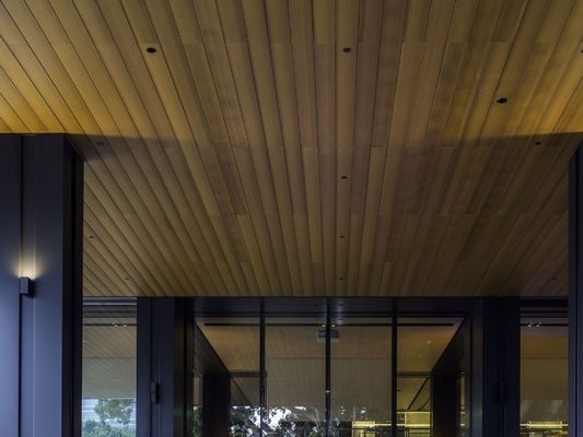 Innowood ceiling close-up